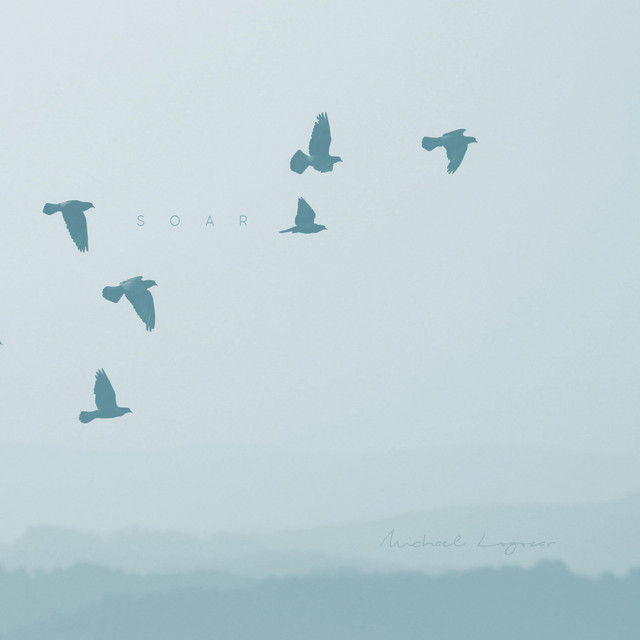 Soar